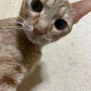 ヒメ日記 2025/11/08 23:51 投稿 ちはや 即アポ奥さん〜名古屋店〜