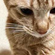 ヒメ日記 2025/11/10 14:44 投稿 ちはや 即アポ奥さん〜名古屋店〜