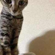 ヒメ日記 2025/11/14 23:41 投稿 ちはや 即アポ奥さん〜名古屋店〜