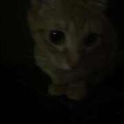 ヒメ日記 2025/11/15 21:01 投稿 ちはや 即アポ奥さん〜名古屋店〜