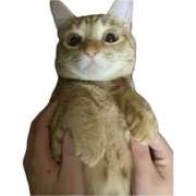 ヒメ日記 2025/11/16 15:06 投稿 ちはや 即アポ奥さん〜名古屋店〜