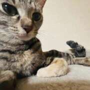 ヒメ日記 2025/11/23 22:01 投稿 ちはや 即アポ奥さん〜名古屋店〜