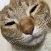 ヒメ日記 2025/11/24 02:32 投稿 ちはや 即アポ奥さん〜名古屋店〜