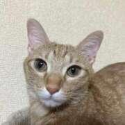 ヒメ日記 2025/11/26 10:05 投稿 ちはや 即アポ奥さん〜名古屋店〜