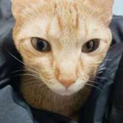 ヒメ日記 2025/11/27 14:32 投稿 ちはや 即アポ奥さん〜名古屋店〜