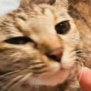 ヒメ日記 2025/11/30 08:11 投稿 ちはや 即アポ奥さん〜名古屋店〜