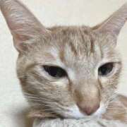 ヒメ日記 2025/12/01 17:21 投稿 ちはや 即アポ奥さん〜名古屋店〜