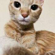 ヒメ日記 2025/12/10 22:46 投稿 ちはや 即アポ奥さん〜名古屋店〜