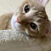 ヒメ日記 2025/12/14 23:11 投稿 ちはや 即アポ奥さん〜名古屋店〜