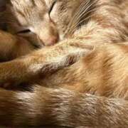 ヒメ日記 2025/12/20 23:31 投稿 ちはや 即アポ奥さん〜名古屋店〜