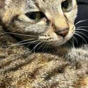 ヒメ日記 2025/12/25 01:35 投稿 ちはや 即アポ奥さん〜名古屋店〜