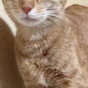 ヒメ日記 2025/12/28 19:22 投稿 ちはや 即アポ奥さん〜名古屋店〜