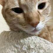 ヒメ日記 2025/12/31 01:31 投稿 ちはや 即アポ奥さん〜名古屋店〜