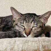 ヒメ日記 2026/01/04 23:19 投稿 ちはや 即アポ奥さん〜名古屋店〜