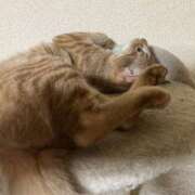 ヒメ日記 2026/01/05 17:38 投稿 ちはや 即アポ奥さん〜名古屋店〜