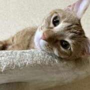 ヒメ日記 2026/01/05 23:31 投稿 ちはや 即アポ奥さん〜名古屋店〜