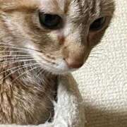 ヒメ日記 2026/01/12 07:08 投稿 ちはや 即アポ奥さん〜名古屋店〜