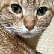 ヒメ日記 2026/01/12 16:51 投稿 ちはや 即アポ奥さん〜名古屋店〜