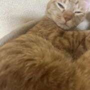 ヒメ日記 2026/01/14 00:51 投稿 ちはや 即アポ奥さん〜名古屋店〜