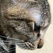 ヒメ日記 2026/01/28 22:21 投稿 ちはや 即アポ奥さん〜名古屋店〜