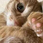 ヒメ日記 2026/02/02 23:31 投稿 ちはや 即アポ奥さん〜名古屋店〜