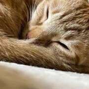 ヒメ日記 2026/02/09 15:04 投稿 ちはや 即アポ奥さん〜名古屋店〜