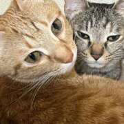 ヒメ日記 2026/02/11 22:11 投稿 ちはや 即アポ奥さん〜名古屋店〜