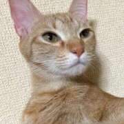 ヒメ日記 2026/02/14 18:31 投稿 ちはや 即アポ奥さん〜名古屋店〜