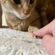 ヒメ日記 2026/02/21 13:37 投稿 ちはや 即アポ奥さん〜名古屋店〜