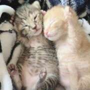 ヒメ日記 2026/02/22 11:10 投稿 ちはや 即アポ奥さん〜名古屋店〜