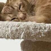 ヒメ日記 2026/02/28 22:31 投稿 ちはや 即アポ奥さん〜名古屋店〜