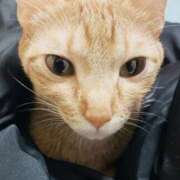 ヒメ日記 2026/03/01 10:34 投稿 ちはや 即アポ奥さん〜名古屋店〜