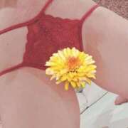 ヒメ日記 2026/03/06 16:41 投稿 ちはや 即アポ奥さん〜名古屋店〜