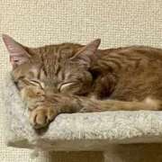 ヒメ日記 2026/04/09 00:05 投稿 ちはや 即アポ奥さん〜名古屋店〜