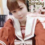 ヒメ日記 2024/12/22 11:23 投稿 ここあ チューリップ福井別館