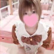 ヒメ日記 2025/02/22 10:44 投稿 ここあ チューリップ福井別館