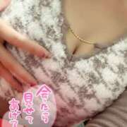 ヒメ日記 2025/03/12 06:00 投稿 芹那(せりな) お客様満足度NO.1デリヘル！ 秘密倶楽部 凛 千葉