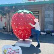 ヒメ日記 2025/04/16 17:28 投稿 芹那(せりな) お客様満足度NO.1デリヘル！ 秘密倶楽部 凛 千葉