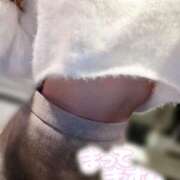 ヒメ日記 2025/11/26 04:30 投稿 芹那(せりな) お客様満足度NO.1デリヘル！ 秘密倶楽部 凛 千葉