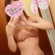 ヒメ日記 2026/01/26 20:10 投稿 芹那(せりな) お客様満足度NO.1デリヘル！ 秘密倶楽部 凛 千葉