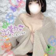 ヒメ日記 2025/02/27 14:28 投稿 佐倉のの Aroma Garden（アロマガーデン）