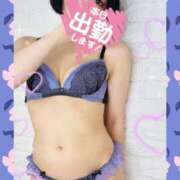 ヒメ日記 2025/04/09 12:09 投稿 佐倉のの Aroma Garden（アロマガーデン）