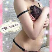 ヒメ日記 2025/04/11 15:26 投稿 佐倉のの Aroma Garden（アロマガーデン）