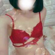 ヒメ日記 2025/07/01 15:49 投稿 佐倉のの Aroma Garden（アロマガーデン）