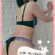 ヒメ日記 2025/10/15 16:21 投稿 佐倉のの Aroma Garden（アロマガーデン）