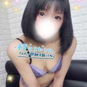 ヒメ日記 2026/02/19 12:05 投稿 佐倉のの Aroma Garden（アロマガーデン）