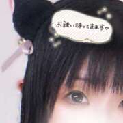 ヒメ日記 2026/02/24 16:30 投稿 佐倉のの Aroma Garden（アロマガーデン）