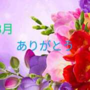 ヒメ日記 2025/04/01 08:41 投稿 れい イエスグループ熊本 TSUBAKI(ツバキ)