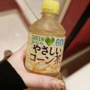 ヒメ日記 2025/04/11 08:49 投稿 れい イエスグループ熊本 TSUBAKI(ツバキ)