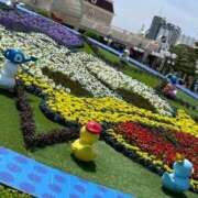 ヒメ日記 2025/05/15 15:53 投稿 れい イエスグループ熊本 TSUBAKI(ツバキ)